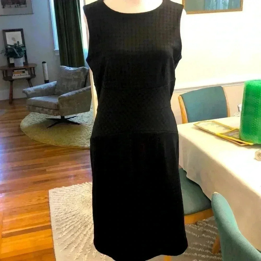 Banana Republic sleeveless poly/rayon/spandex back zipper dress.